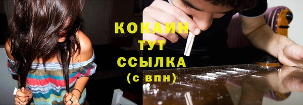 прущие грибы Елизово
