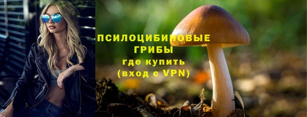 прущие грибы Елизово