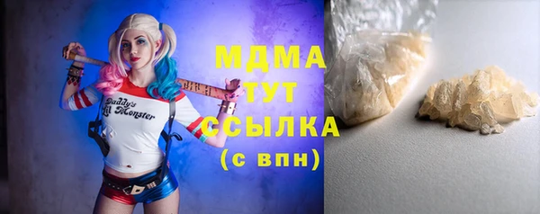 прущие грибы Елизово
