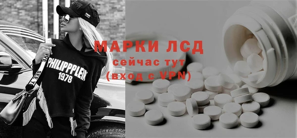 прущие грибы Елизово