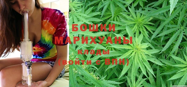 прущие грибы Елизово