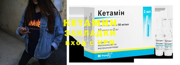 прущие грибы Елизово