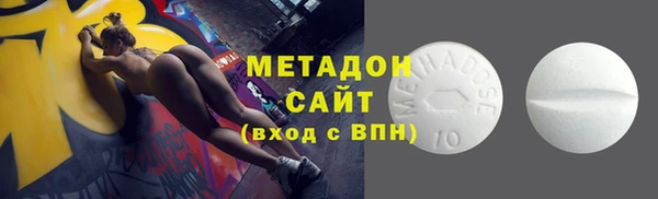прущие грибы Елизово