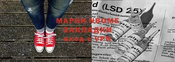 прущие грибы Елизово