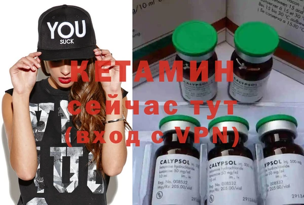 прущие грибы Елизово