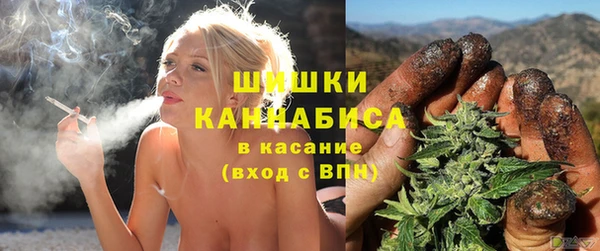прущие грибы Елизово