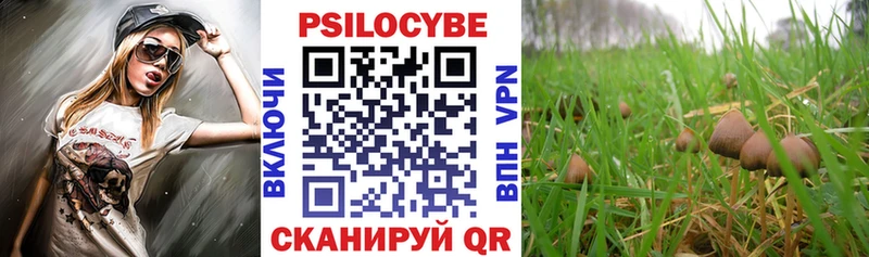 Купить где  Камешково  Псилоцибиновые грибы Psilocybine cubensis 